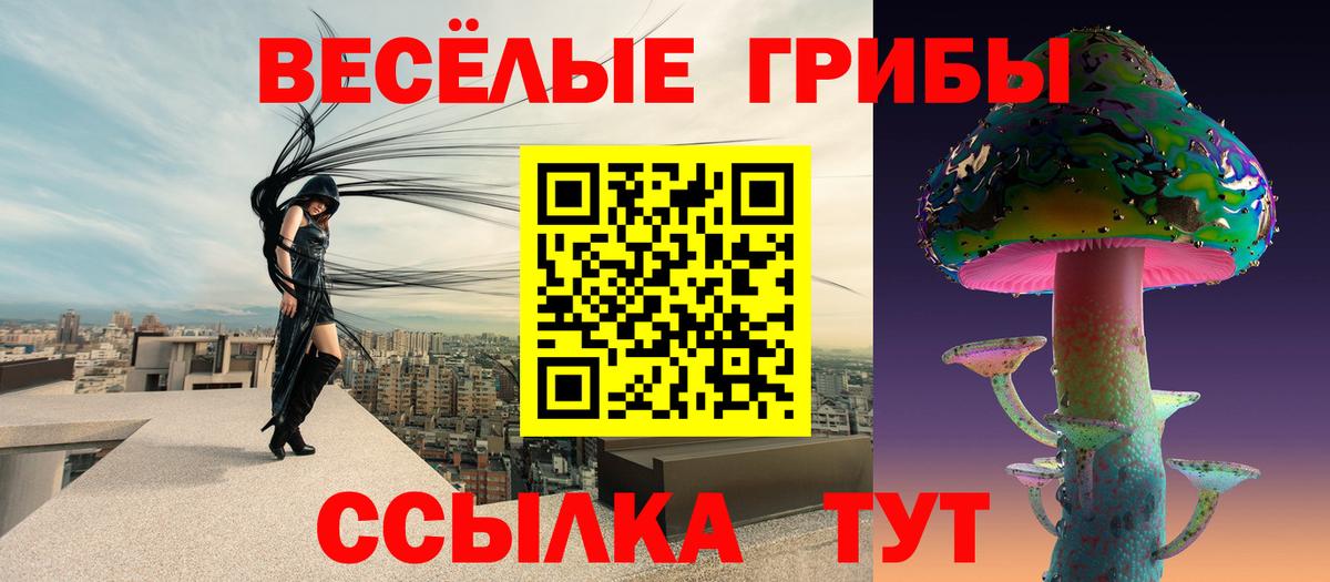 купить наркотики цена  Вход с VPN  Дзержинский  Галлюциногенные грибы мицелий 