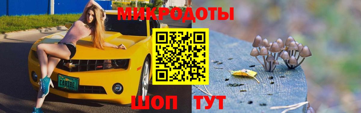Псилоцибиновые грибы ЛСД Дзержинский